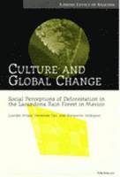 bokomslag Culture and Global Change