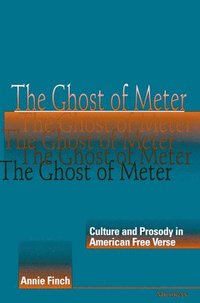 bokomslag The Ghost of Meter