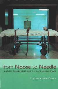 bokomslag From Noose to Needle