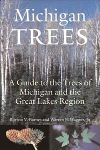 bokomslag Michigan Trees