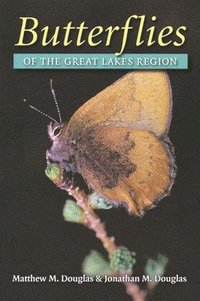 bokomslag Butterflies of the Great Lakes Region