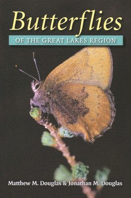 Butterflies of the Great Lakes Region 1