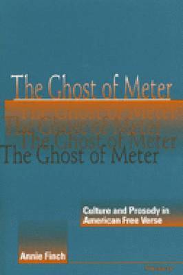 bokomslag Ghost of Meter