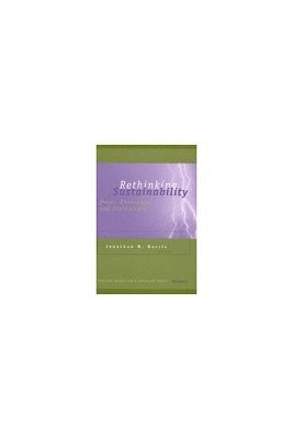 bokomslag Rethinking Sustainability