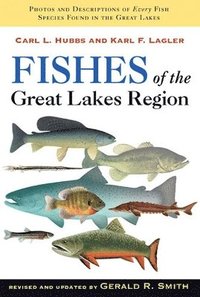 bokomslag Fishes of the Great Lakes Region