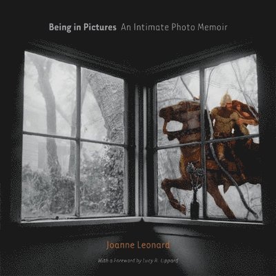 Being in Pictures 1