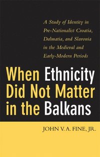 bokomslag WHEN ETHNICITY DID NOT MATTER IN THE BALKANS