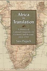 bokomslag Africa in Translation
