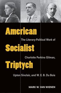 bokomslag American Socialist Triptych