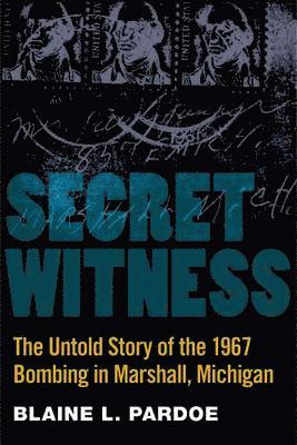 bokomslag Secret Witness