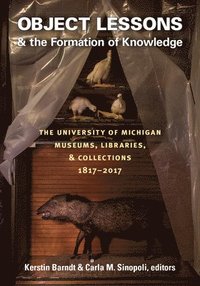bokomslag Object Lessons and the Formation of Knowledge
