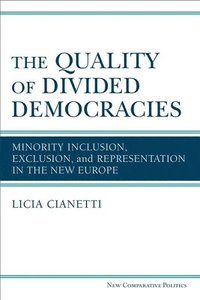 bokomslag Quality of Divided Democracies