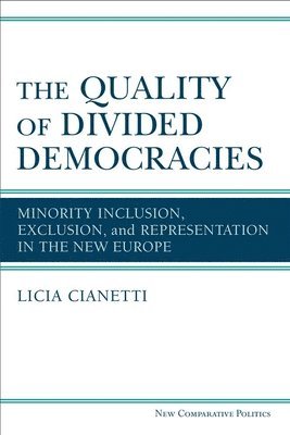 bokomslag Quality of Divided Democracies