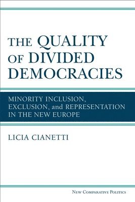 The Quality of Divided Democracies 1