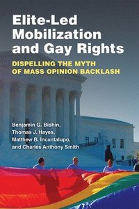 bokomslag Elite-Led Mobilization and Gay Rights