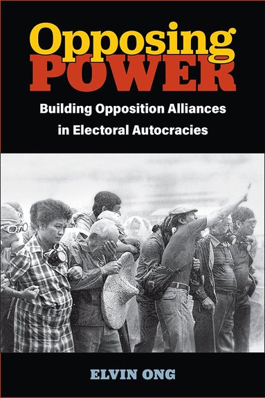 bokomslag Opposing Power