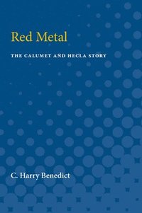 bokomslag Red Metal