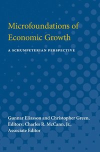 bokomslag Microfoundations of Economic Growth