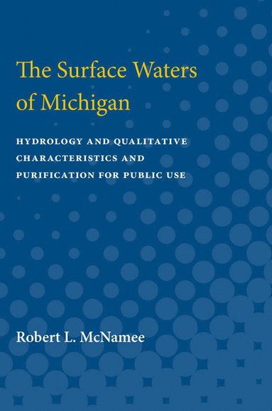 bokomslag Surface Waters of Michigan