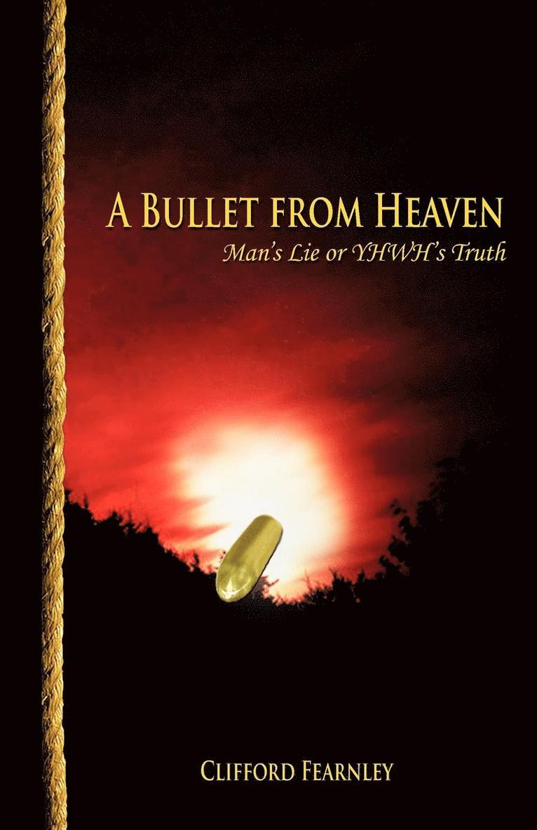 A Bullet from Heaven 1