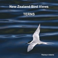 bokomslag New Zealand Bird Views : Terns
