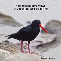 bokomslag New Zealand Bird Views
