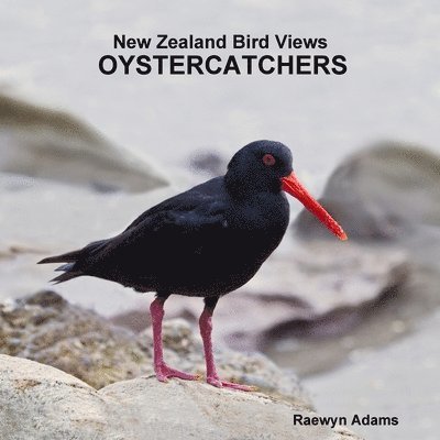 New Zealand Bird Views 1