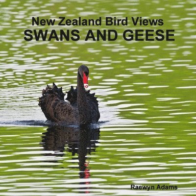 Raewyn Adams - New Zealand bird views, Häftad