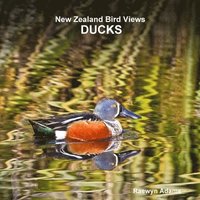 bokomslag New Zealand bird views