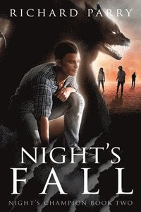 bokomslag Night's Fall