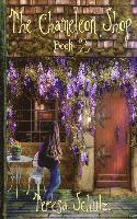The Chameleon Shop Book 2 1