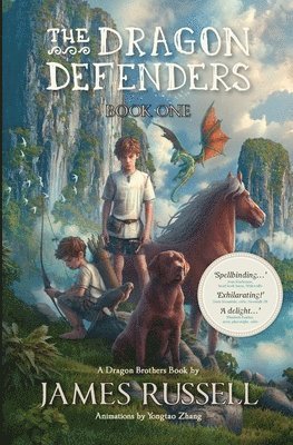 bokomslag The Dragon Defenders