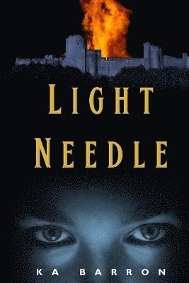 bokomslag Light Needle: Second volume in the Light Funnel series