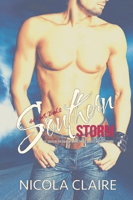 bokomslag Southern Storm (44 South, Book 2)