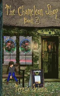bokomslag The Chameleon Shop Book 3