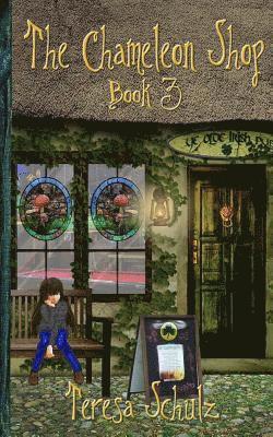 bokomslag The Chameleon Shop Book 3