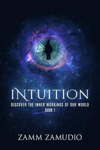 bokomslag Intuition: Discover the Inner Workings of our World - Book 1