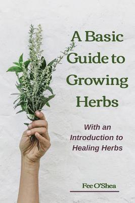 bokomslag Basic Guide To Growing Herbs