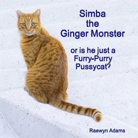 bokomslag Simba the Ginger Monster