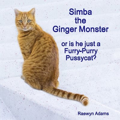 Raewyn Adams - Simba the Ginger Monster, Häftad