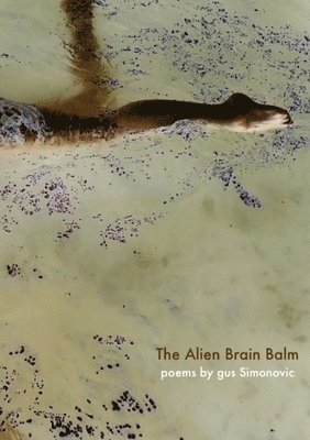 bokomslag Alien Brain Balm