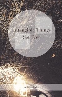 bokomslag Intangible Things Set Free