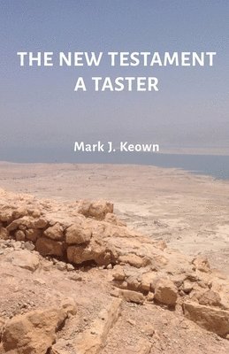 bokomslag The New Testament A Taster