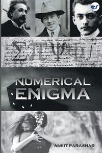 bokomslag Numerical Enigma