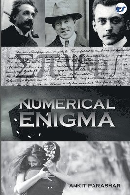 bokomslag Numerical Enigma