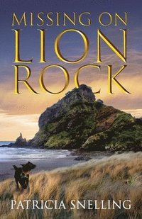 bokomslag Missing On Lion Rock