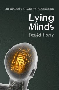bokomslag Lying Minds