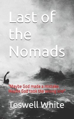 bokomslag Last of the Nomads