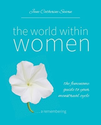 bokomslag World Within Women
