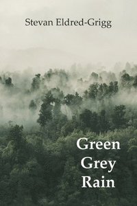 bokomslag Green Grey Rain